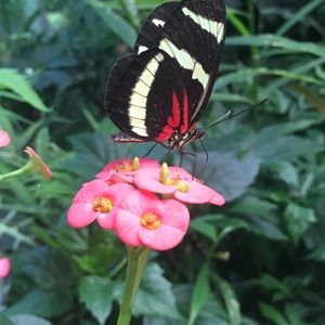 Meet your Posher, Catalina